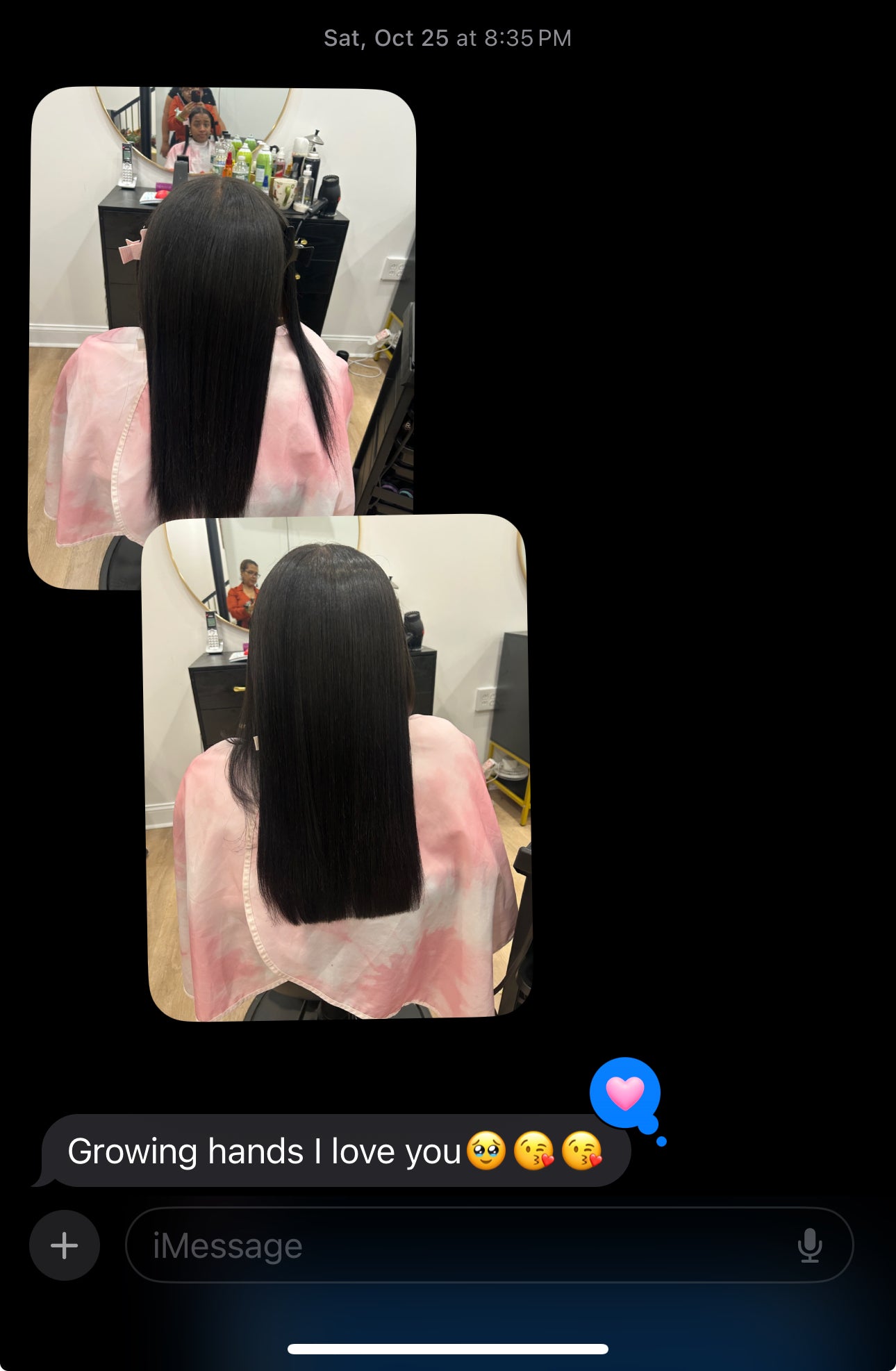 Root Revival Hair Growth Elixir (Batana Oil Ayurvedic Blend)